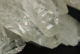 Clear Quartz Crystal Cluster - Brazil #299631-1